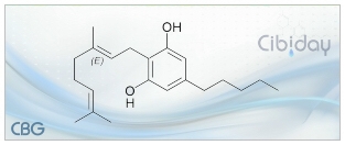 CBG Cannabigerol info